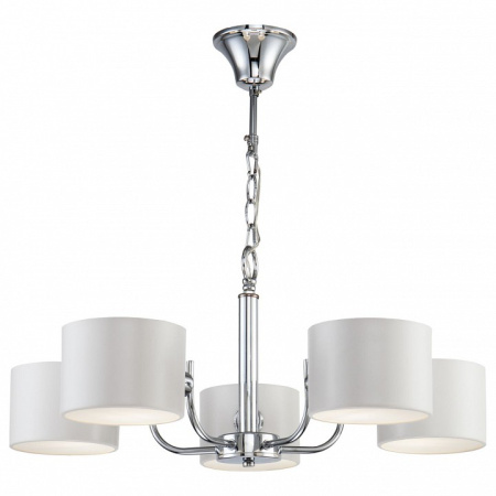 Фото Подвесная люстра Freya Anita FR5012PL-05CH