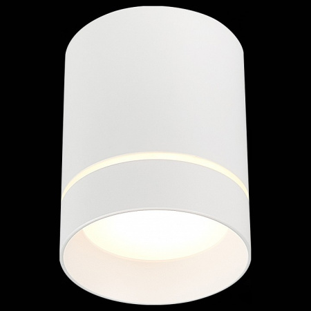 Фото Накладной светильник ST-Luce ST115 ST115.532.07