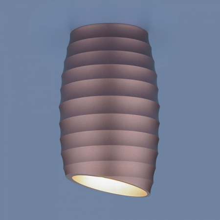 Фото Накладной светильник Elektrostandard DLN105 a047728