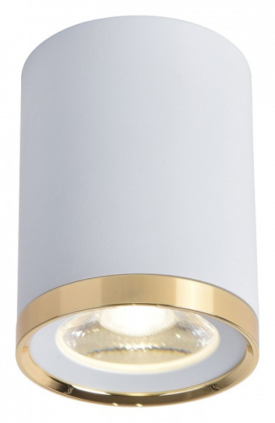 Фото Накладной светильник Favourite Prakash 3085-1C