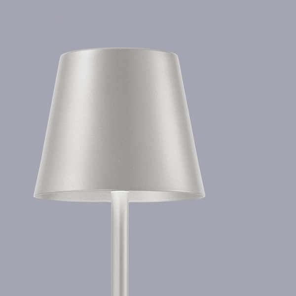 Фото Настольная лампа декоративная F-promo Pyari 4617-1T