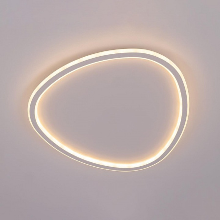 Фото Накладной светильник Citilux ТRIO CL215B250E