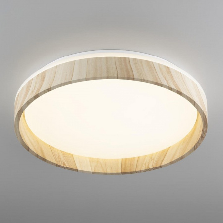 Фото Накладной светильник Citilux ENZO CL753352G