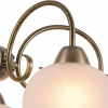 Открыть Подвесная люстра Arte Lamp Margo A9317LM-5AB Фото Подвесная люстра Arte Lamp Margo A9317LM-5AB