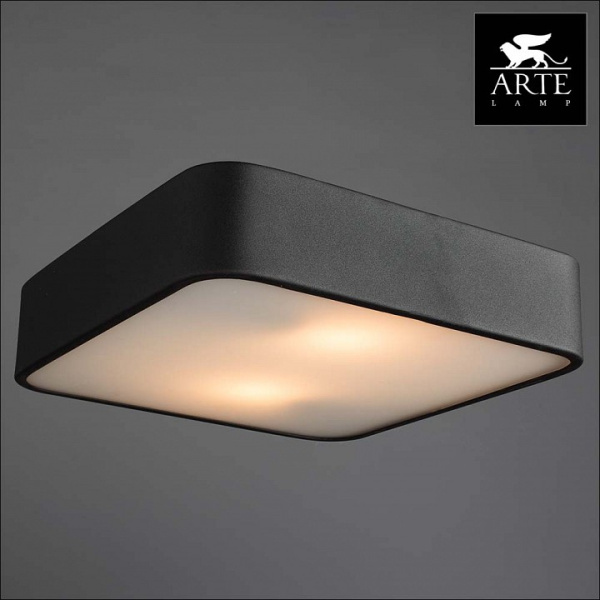 Фото Накладной светильник Arte Lamp Cosmopolitan A7210PL-2BK