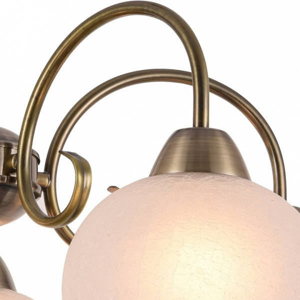 Открыть Подвесная люстра Arte Lamp Margo A9317LM-5AB Фото Подвесная люстра Arte Lamp Margo A9317LM-5AB