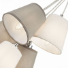 Открыть Подвесная люстра EVOLUCE Prato SLE300403-05 Фото Подвесная люстра EVOLUCE Prato SLE300403-05