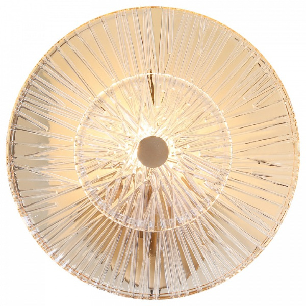 Фото Накладной светильник Maytoni Aster MOD007WL-01G