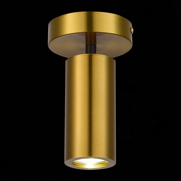 Открыть Светильник на штанге ST-Luce Talia SL1215.402.01 Фото Светильник на штанге ST-Luce Talia SL1215.402.01