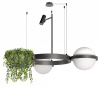 Открыть Подвесная люстра Loft it Jardin 10121/2 Dark grey Фото Подвесная люстра Loft it Jardin 10121/2 Dark grey