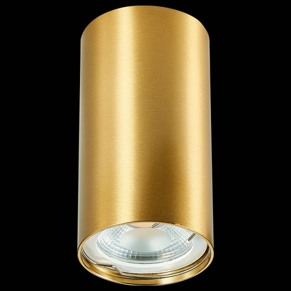 Фото Накладной светильник ST-Luce ST110 ST110.207.01