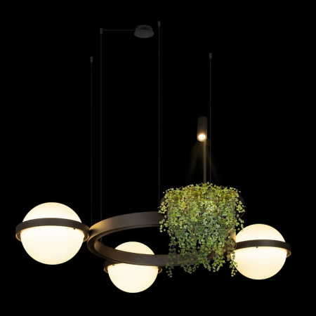 Открыть Подвесная люстра Loft it Jardin 10121/3 Dark grey Фото Подвесная люстра Loft it Jardin 10121/3 Dark grey