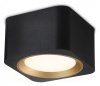Накладной светильник Ambrella Light TN TN70832 Накладной светильник Ambrella Light TN TN70832