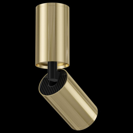 Фото Спот Maytoni Focus S C051CL-01G