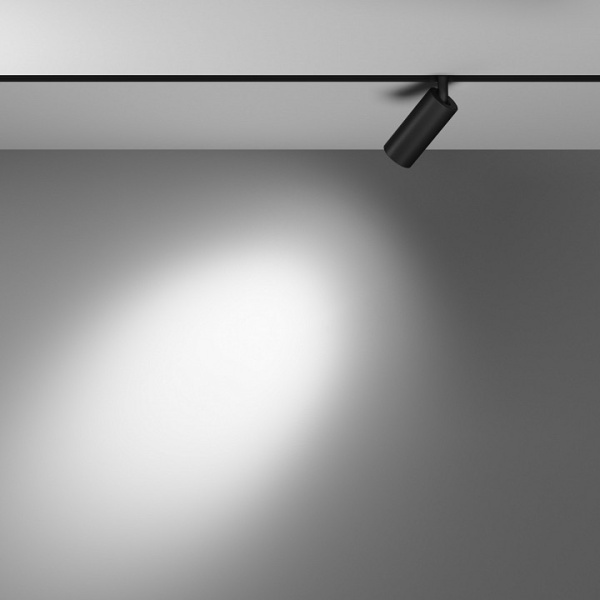 Фото Светильник на штанге Maytoni Focus LED TR032-4-5WTW-S-DD-B