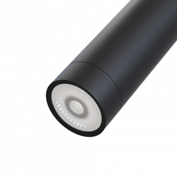 Фото Светильник на штанге Maytoni Focus LED TR019-2-7W3K-B
