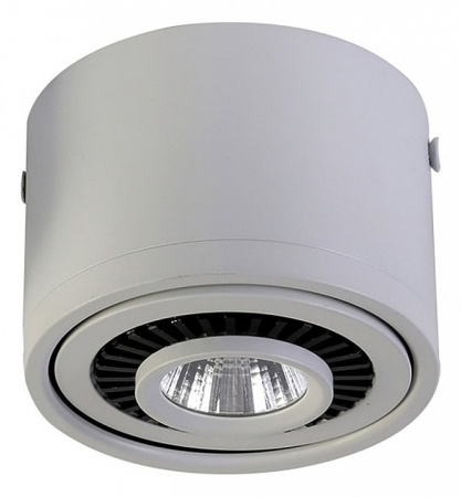 Фото Накладной светильник Favourite Reflector 1775-1C