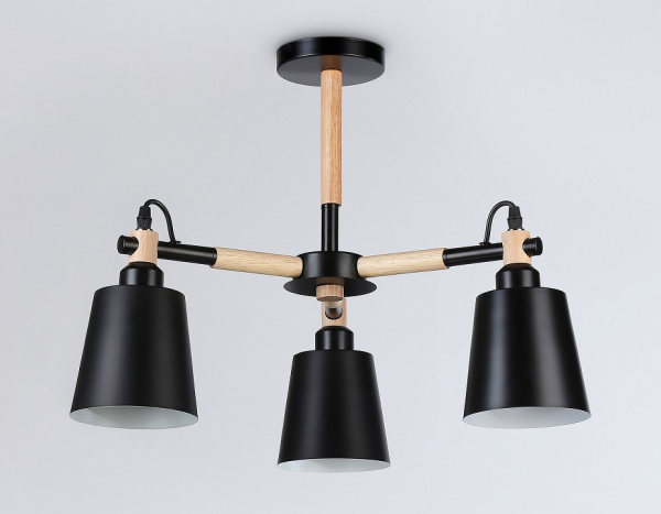 Фото Люстра на штанге Ambrella Light TR TR82206