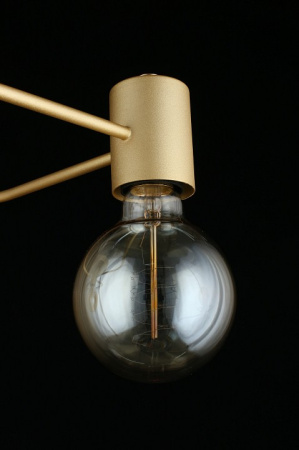 Фото Потолочная люстра Aployt Elison APL.911.07.03