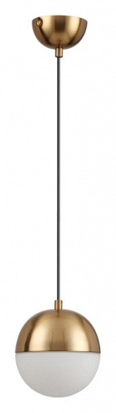 Фото Подвесной светильник Odeon Light Pinga 4960/1