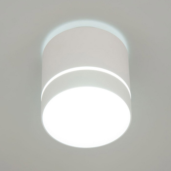 Фото Накладной светильник Citilux Борн CL745020N