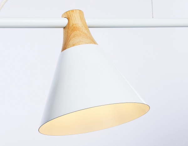 Фото Подвесной светильник Ambrella Light TR TR8196