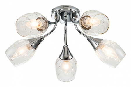 Фото Накладной светильник Escada Tulip 670/5P