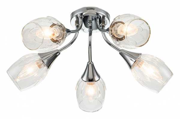 Фото Накладной светильник Escada Tulip 670/5P