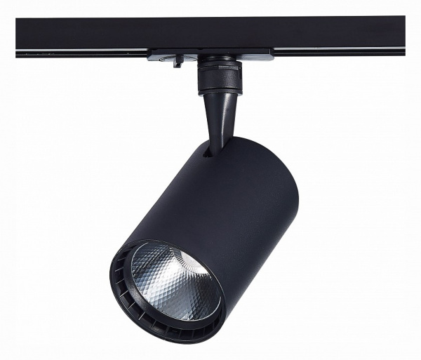 Фото Светильник на штанге ST-Luce Cami ST351.446.30.36