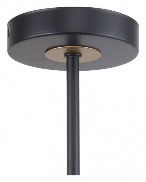 Фото Люстра на штанге F-promo Rigor 2844-5P