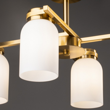 Фото Люстра на штанге Freya Kamelia FR5446PL-04BS1