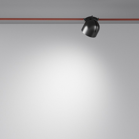 Фото Накладной светильник Maytoni Cup TR124B-12W4K-B