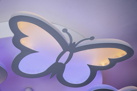 Фото Накладной светильник Escada Butterfly 10205/5LED