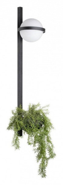 Фото Бра Loft it Jardin 10121W/B