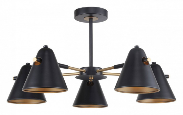 Фото Люстра на штанге F-promo Rigor 2844-5P