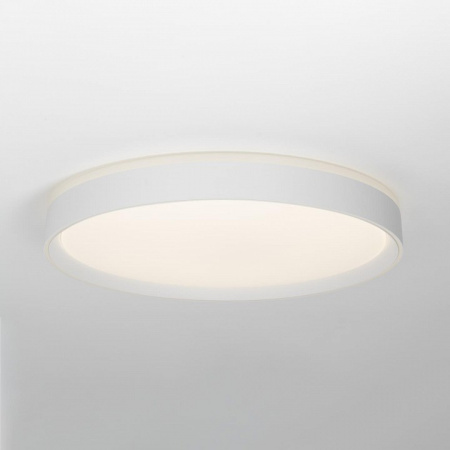 Фото Накладной светильник Citilux BOSS CL751450G