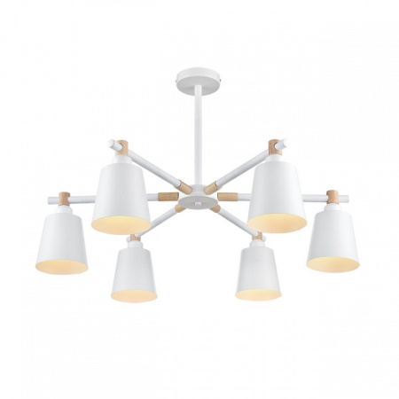 Фото Люстра на штанге Lumion Rosalina 8097/6C