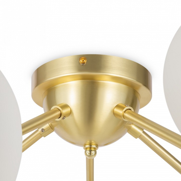Фото Потолочная люстра Maytoni Dallas MOD545CL-20BS