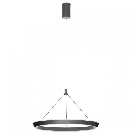 Фото Подвесной светильник Citilux Tavi CL717012