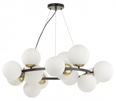 Фото Подвесная люстра Lumion Moderni 6508/14