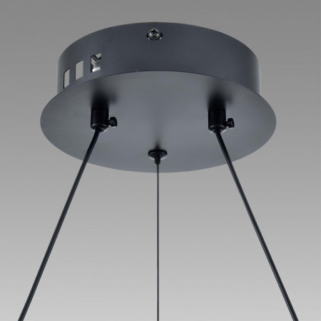 Фото Подвесной светильник Lumion Felisiti 8103/38L