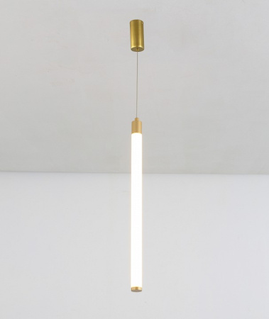 Фото Подвесной светильник Maytoni Ray P022PL-L10MG3K