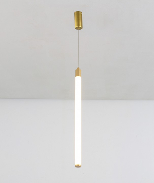 Фото Подвесной светильник Maytoni Ray P022PL-L10MG3K