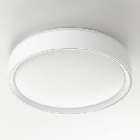 Фото Накладной светильник Citilux BOSS CL751250G