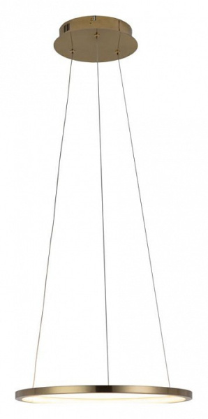 Открыть Подвесной светильник Loft it Ring 10014S Фото Подвесной светильник Loft it Ring 10014S