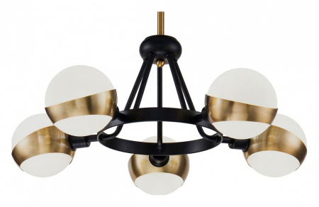 Фото Люстра на штанге Freya Silvia FR5009PL-05B