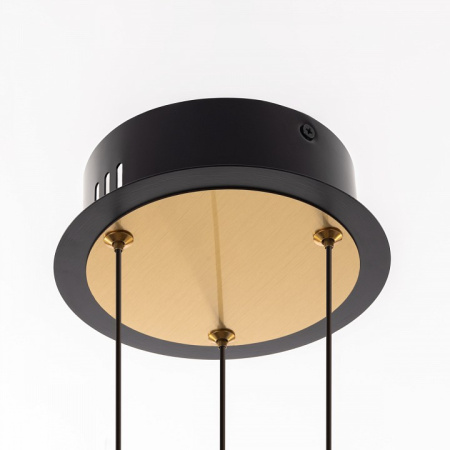 Фото Подвесная люстра Citilux HELLY CL211042