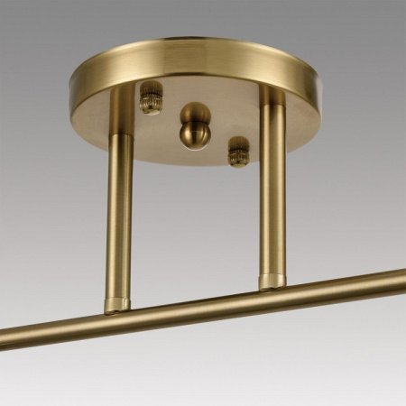 Фото Светильник на штанге Lumion Vivian 8188/2C