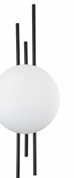 Фото Накладной светильник Indigo Astro 14007/1W Black