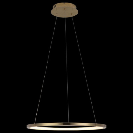 Фото Подвесной светильник Loft it Ring 10014M